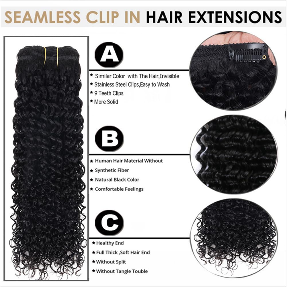 Kinky Curly 7Pcs Clip in Hair Extensions Brazilian Virgin Hair Natural Deep Kinky Curly Clip Ins for Black Women Clip In Human Hair Extensions Double Weft